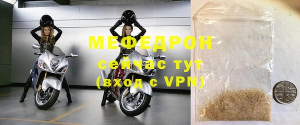 стаф Богданович