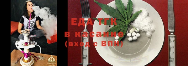 стаф Богданович