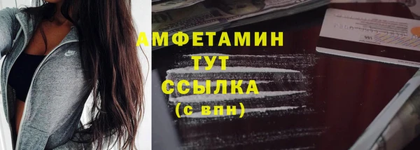 стаф Богданович
