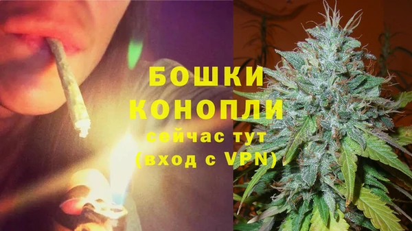 дурь Богородицк
