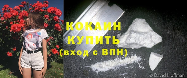 стаф Богданович