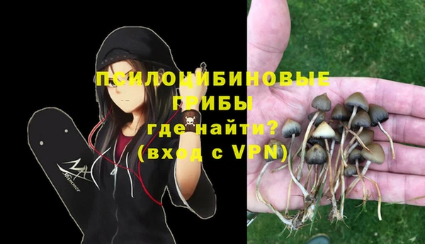 дурь Богородицк
