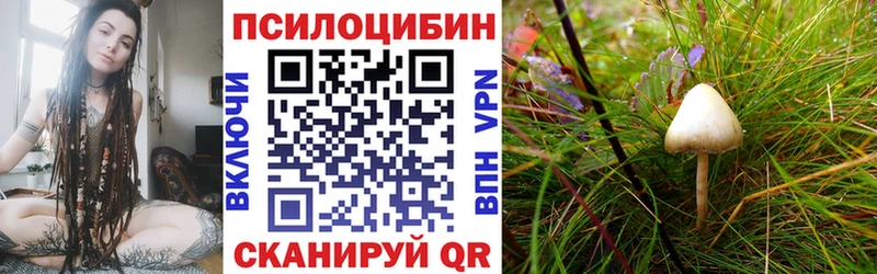 блэк спрут рабочий сайт  Маркс  Псилоцибиновые грибы мицелий 